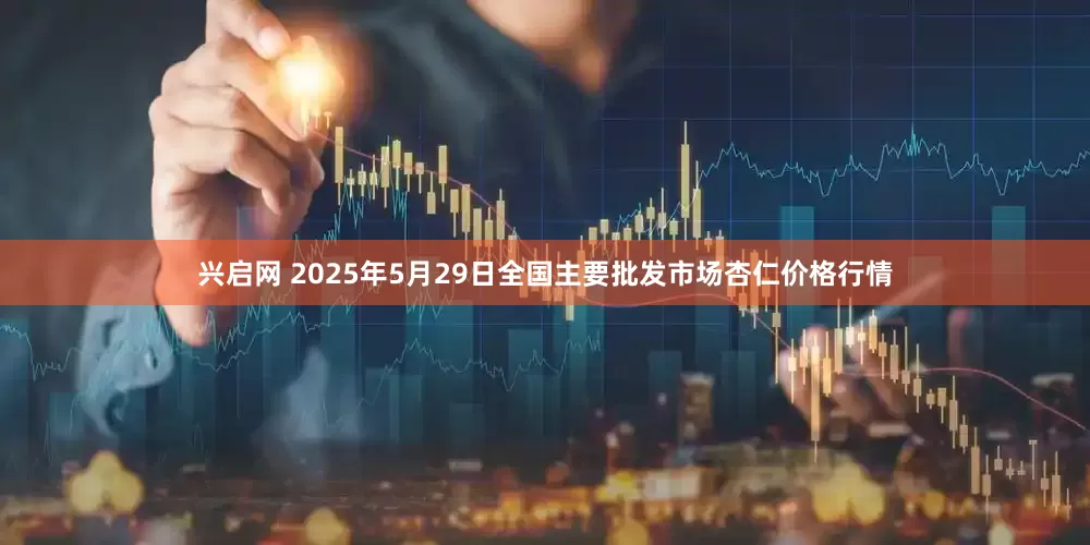 兴启网 2025年5月29日全国主要批发市场杏仁价格行情