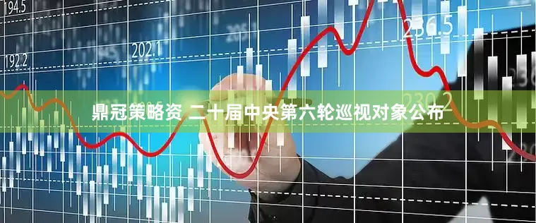 鼎冠策略资 二十届中央第六轮巡视对象公布