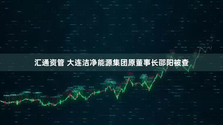 汇通资管 大连洁净能源集团原董事长邵阳被查